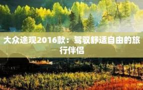 大众途观2016款：驾驭舒适自由的旅行伴侣