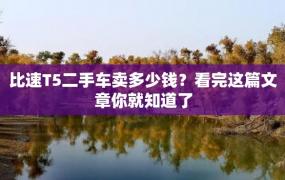 比速T5二手车卖多少钱？看完这篇文章你就知道了