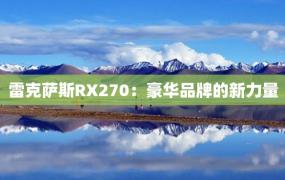 雷克萨斯RX270：豪华品牌的新力量