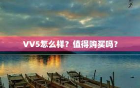 VV5怎么样？值得购买吗？