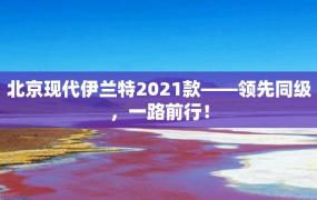 北京现代伊兰特2021款——领先同级，一路前行！