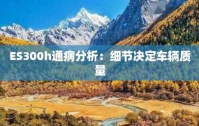 ES300h通病分析：细节决定车辆质量