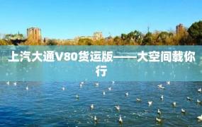 上汽大通V80货运版——大空间载你行