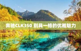 奔驰CLK350 别具一格的优雅魅力