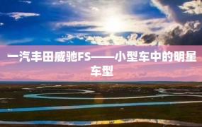 一汽丰田威驰FS——小型车中的明星车型