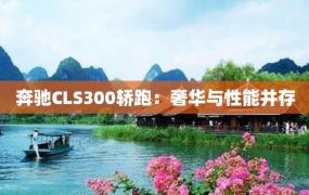 奔驰CLS300轿跑：奢华与性能并存