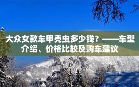 大众女款车甲壳虫多少钱？——车型介绍、价格比较及购车建议