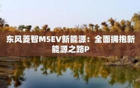 东风菱智M5EV新能源：全面拥抱新能源之路P