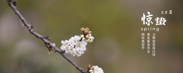 二十四节气中的惊蛰是什么意思?(24节气中的惊蛰是什么意思)