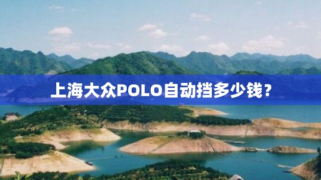 上海大众POLO自动挡多少钱？