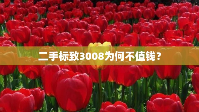 二手标致3008为何不值钱？