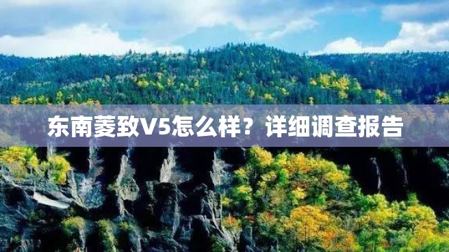 东南菱致V5怎么样？详细调查报告