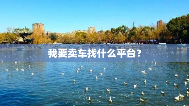 我要卖车找什么平台？