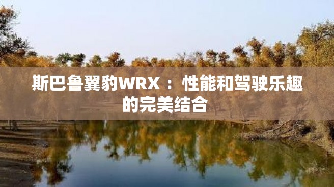 斯巴鲁翼豹WRX ：性能和驾驶乐趣的完美结合 