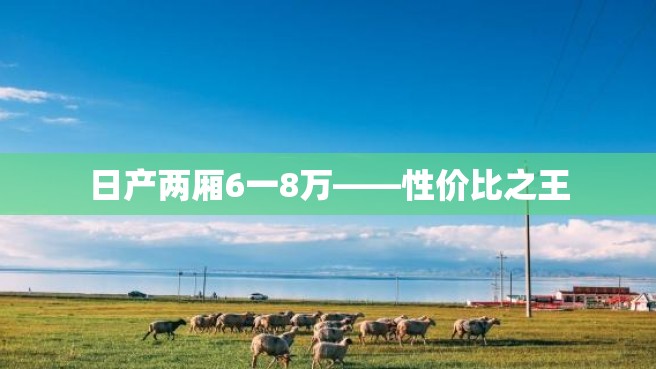 日产两厢6一8万——性价比之王