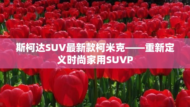 斯柯达SUV最新款柯米克——重新定义时尚家用SUVP