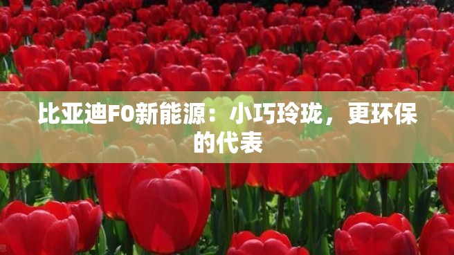 比亚迪F0新能源：小巧玲珑，更环保的代表