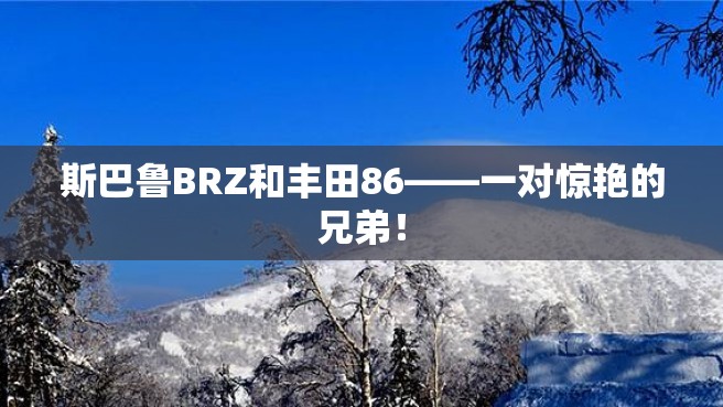 斯巴鲁BRZ和丰田86——一对惊艳的兄弟！