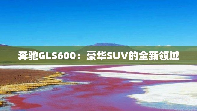 奔驰GLS600：豪华SUV的全新领域