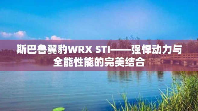 斯巴鲁翼豹WRX STI——强悍动力与全能性能的完美结合