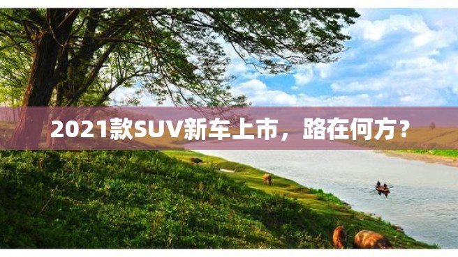 2021款SUV新车上市，路在何方？