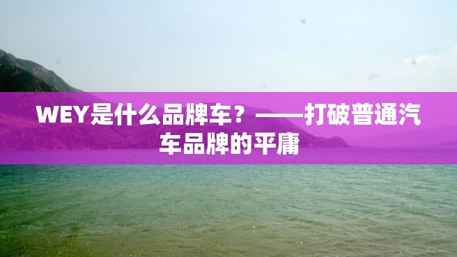 WEY是什么品牌车？——打破普通汽车品牌的平庸