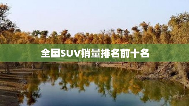 全国SUV销量排名前十名