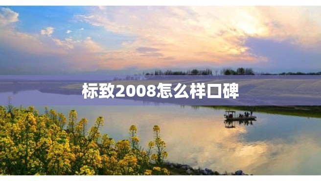 标致2008怎么样口碑