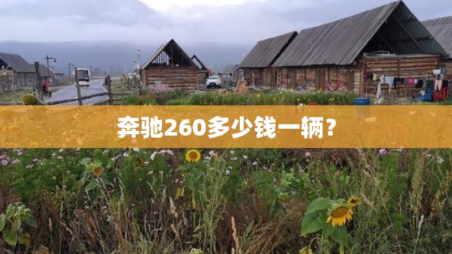 奔驰260多少钱一辆？