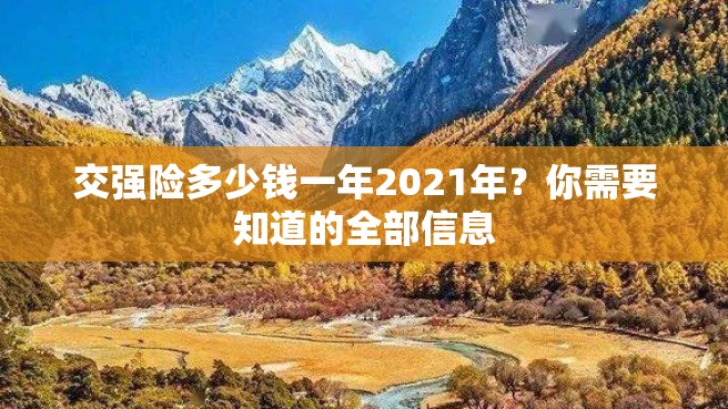 交强险多少钱一年2021年？你需要知道的全部信息