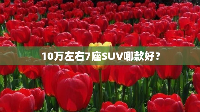 10万左右7座SUV哪款好？