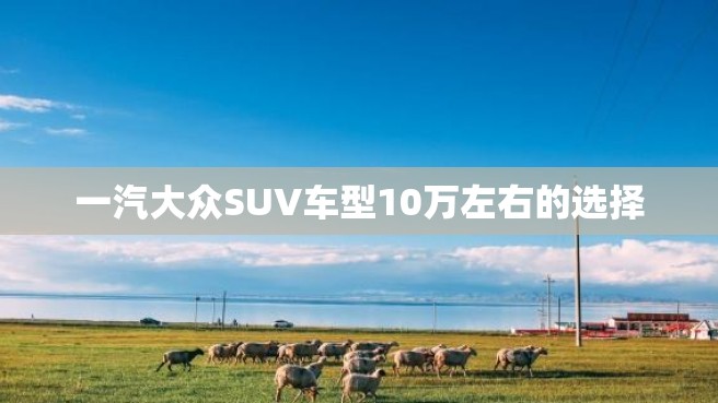 一汽大众SUV车型10万左右的选择