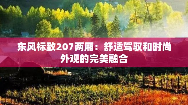 东风标致207两厢：舒适驾驭和时尚外观的完美融合