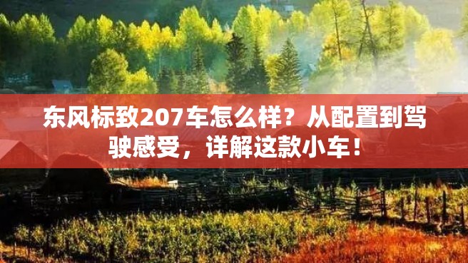 东风标致207车怎么样？从配置到驾驶感受，详解这款小车！