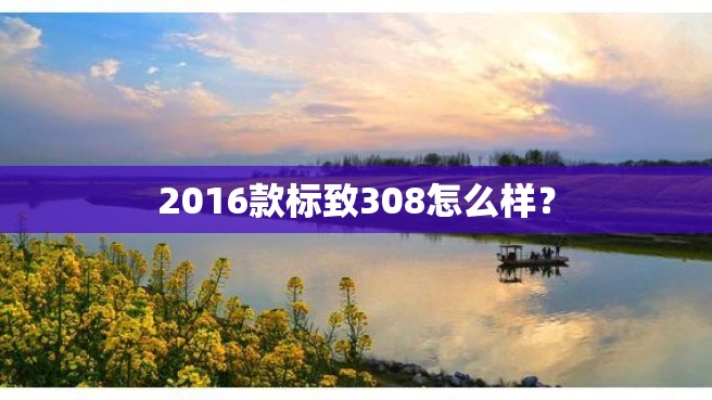 2016款标致308怎么样？