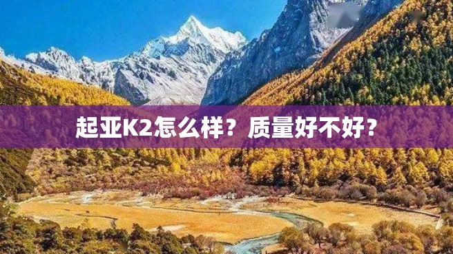 起亚K2怎么样？质量好不好？