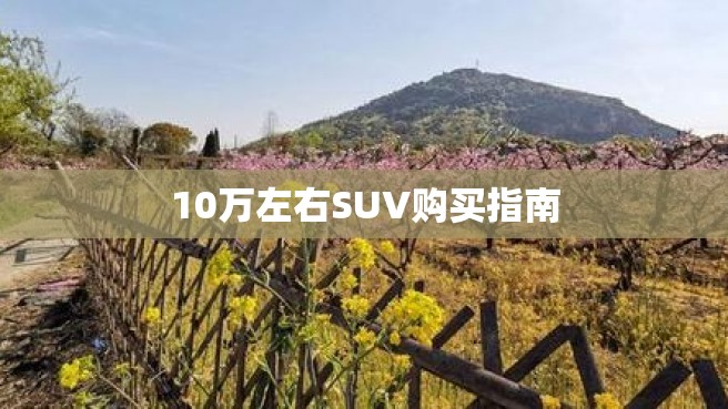 10万左右SUV购买指南