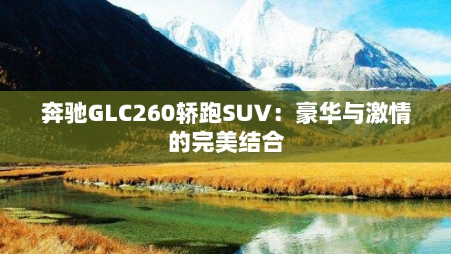 奔驰GLC260轿跑SUV：豪华与激情的完美结合