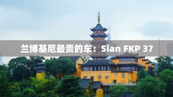 兰博基尼最贵的车：Sian FKP 37