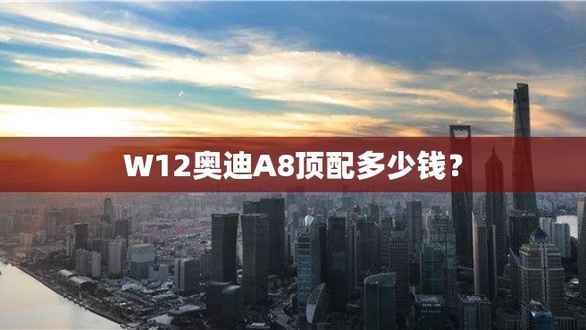 W12奥迪A8顶配多少钱？