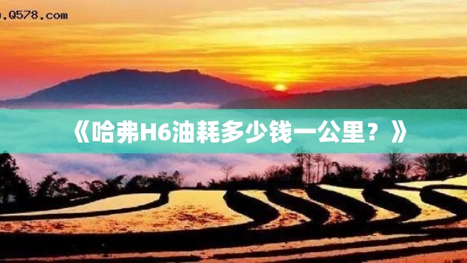 《哈弗H6油耗多少钱一公里？》