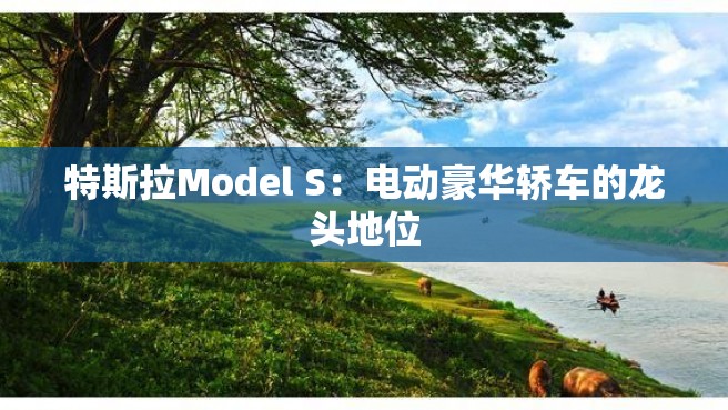 特斯拉Model S：电动豪华轿车的龙头地位