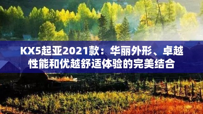 KX5起亚2021款：华丽外形、卓越性能和优越舒适体验的完美结合