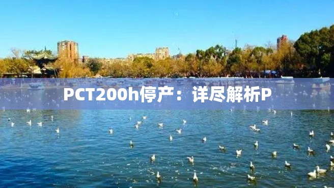 PCT200h停产：详尽解析P