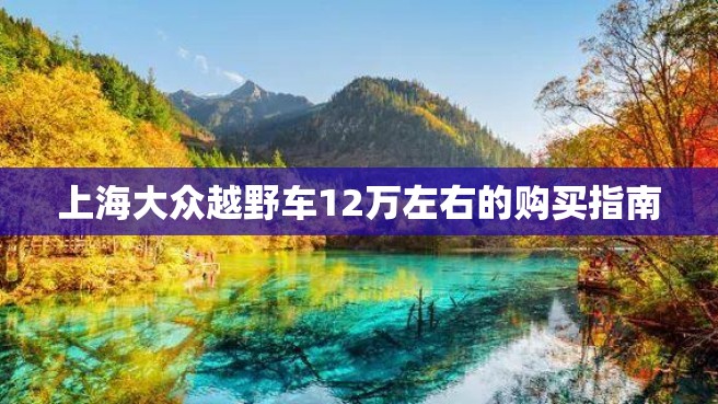 上海大众越野车12万左右的购买指南