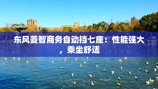 东风菱智商务自动挡七座：性能强大，乘坐舒适