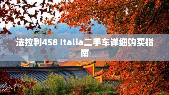 法拉利458 Italia二手车详细购买指南