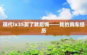 现代ix35买了就后悔——我的购车经历