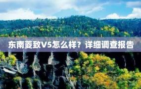 东南菱致V5怎么样？详细调查报告