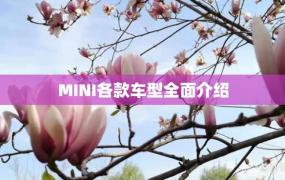 MINI各款车型全面介绍